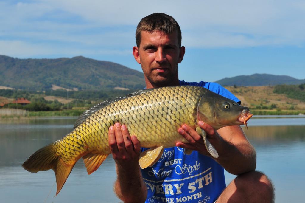 cupa rezistentei 11-13 septembrie 2012 - crap 6 kg